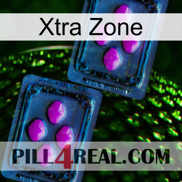 Xtra Zone 03.jpg